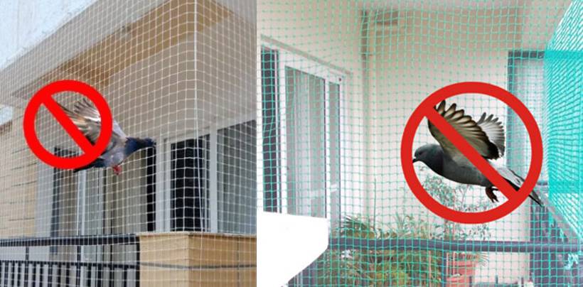 Pigeon Net Installation In Hyderabad | Call 9392696374 for Best Quality Net 