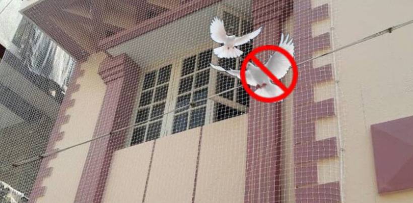 Pigeon Safety Nets Installation Cost in Hyderabad | Call 9392696374 Fixing Nets